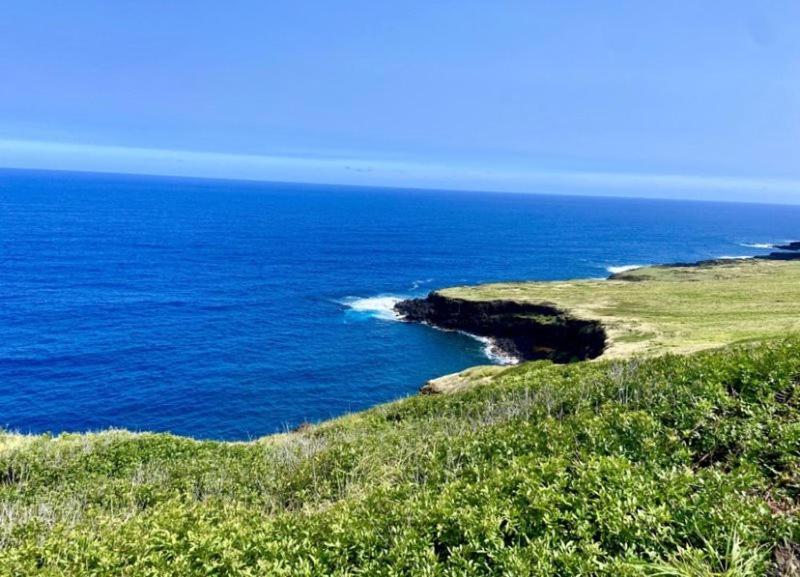 Charming 1 Bedroom Beach Condo Prime Location Great Value Pahala Extérieur photo