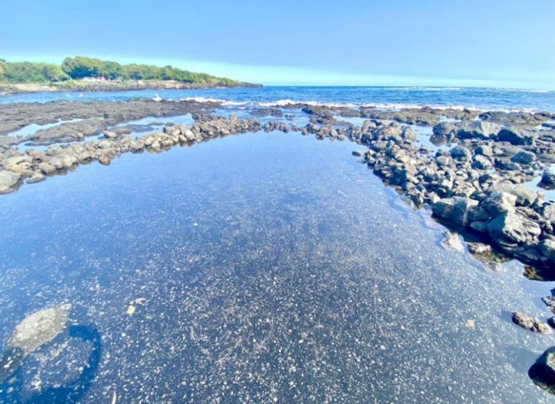 Charming 1 Bedroom Beach Condo Prime Location Great Value Pahala Extérieur photo