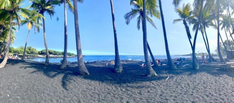 Charming 1 Bedroom Beach Condo Prime Location Great Value Pahala Extérieur photo