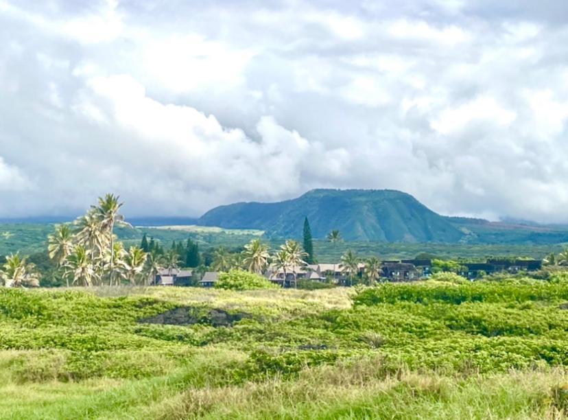 Charming 1 Bedroom Beach Condo Prime Location Great Value Pahala Extérieur photo